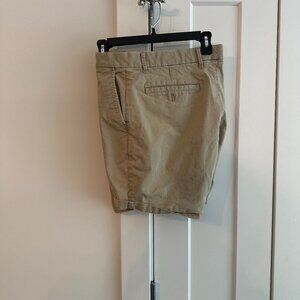 GAP 8" Short